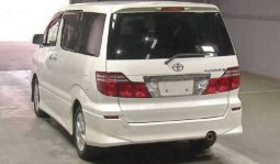 Toyota Alphard ANT800007 full