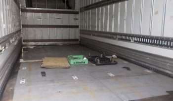 ISUZU FORWARD freezer 2005 y full