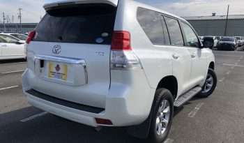 Toyota Land Cruiser Prado Tx ANT8000051 full