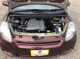 Toyota Passo Irodori GRND10013 full