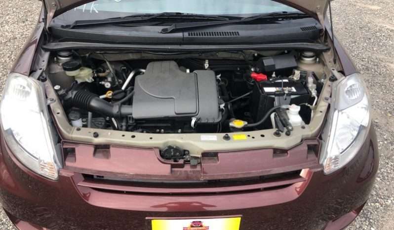 Toyota Passo Irodori GRND10013 full