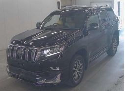 Toyota Land Cruiser Prado Tx L PK10006 full