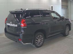 Toyota Land Cruiser Prado Tx L PK10006 full